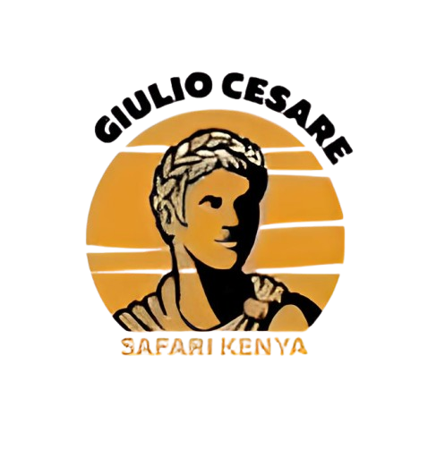 service-avater-image